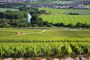 Les vignobles en Champagne Charme Au Fil de lEau Charme Au Fil de lEau Tourisme en Champagne