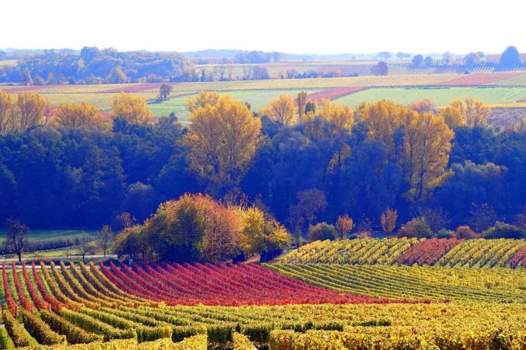 Week end romantique en Champagne