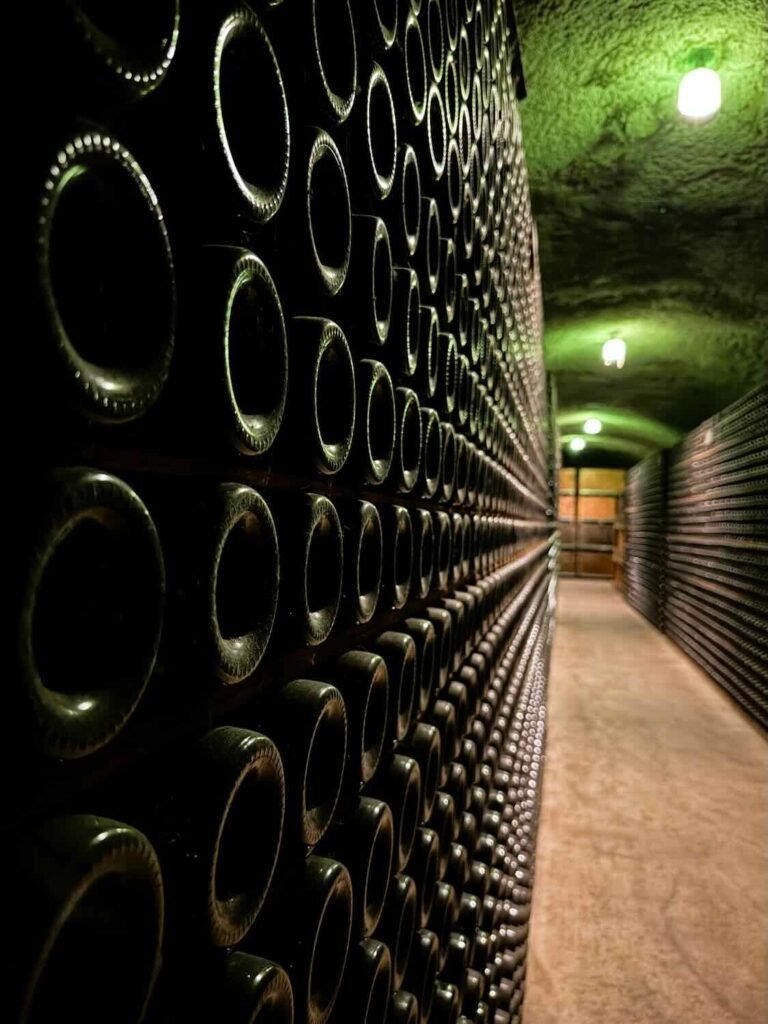 tourisme en Champagne : Reims