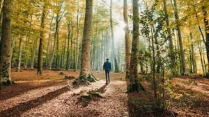 Séjour anti-burnout pour csp