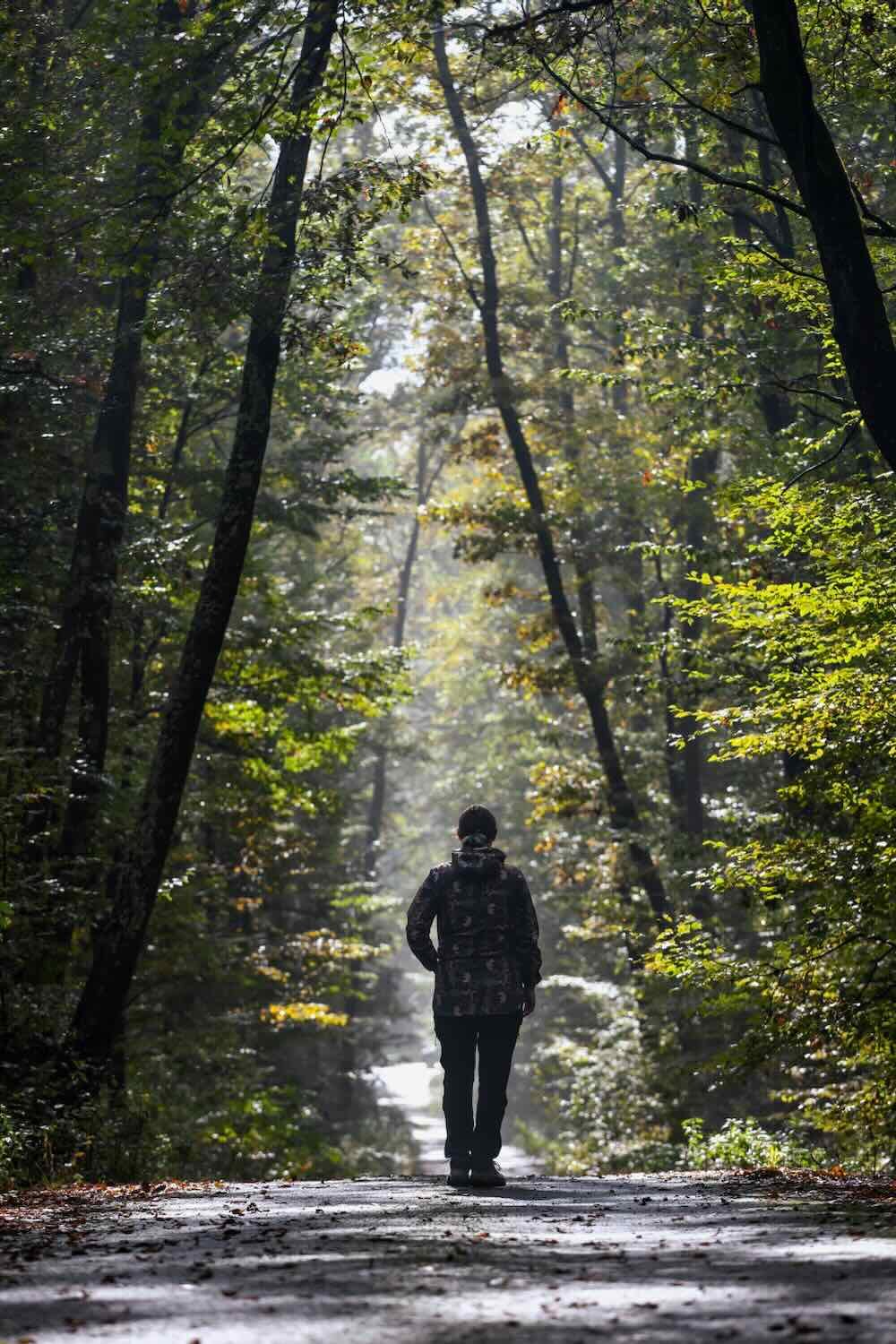 Woman walking in foggy autumn forest