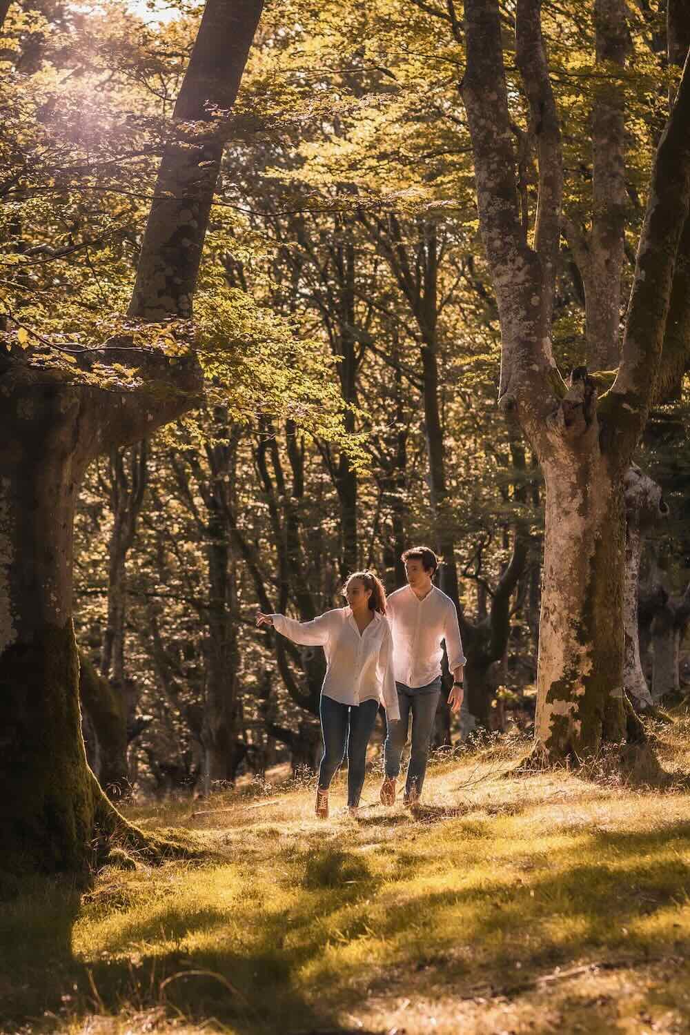 Vertical photo of a couple exploring a forest and pointing to the landscape